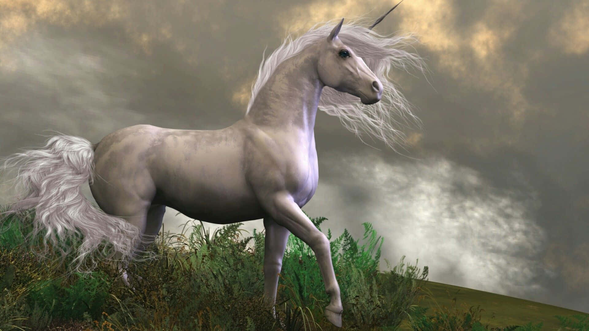 Unmítico Unicornio Blanco Trota Suavemente En El Oscuro Bosque. Fondo de pantalla