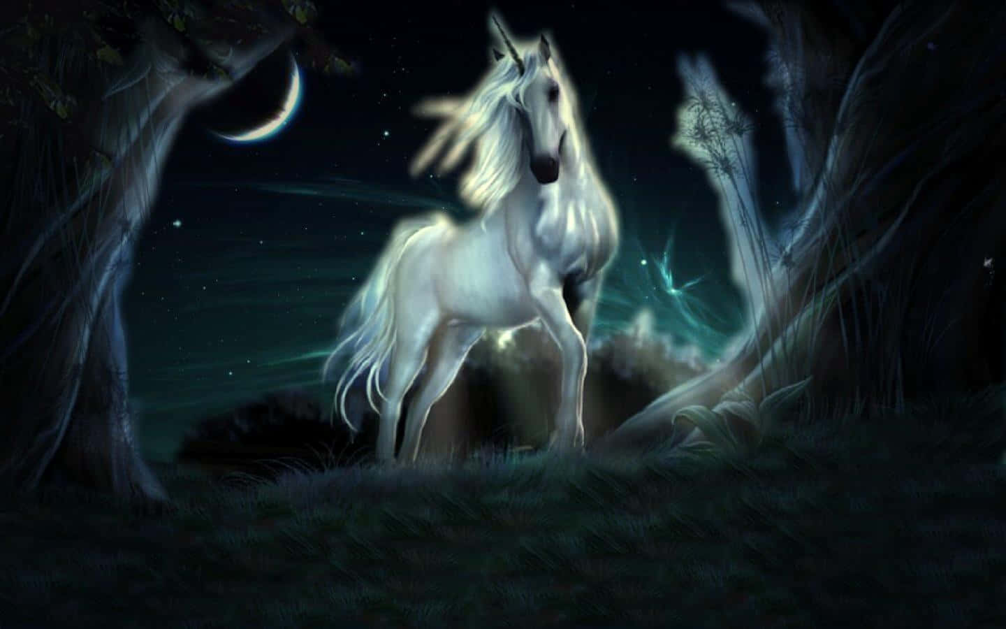 A majestic and beautiful real life Unicorn Wallpaper