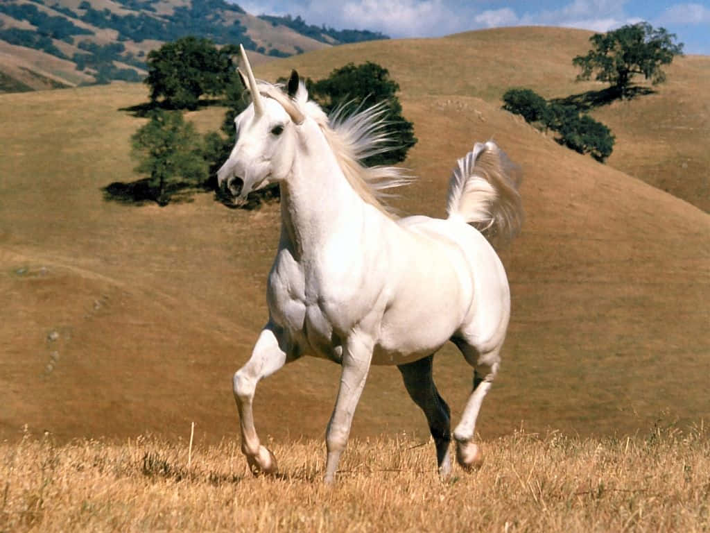 A gorgeous real unicorn in a landscape of vibrant colors Wallpaper