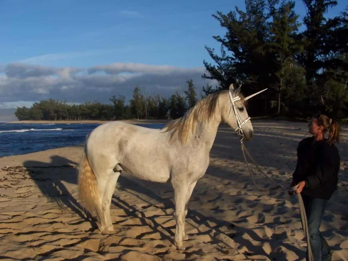 Umamulher Está Em Pé Na Praia Com Um Cavalo Branco.