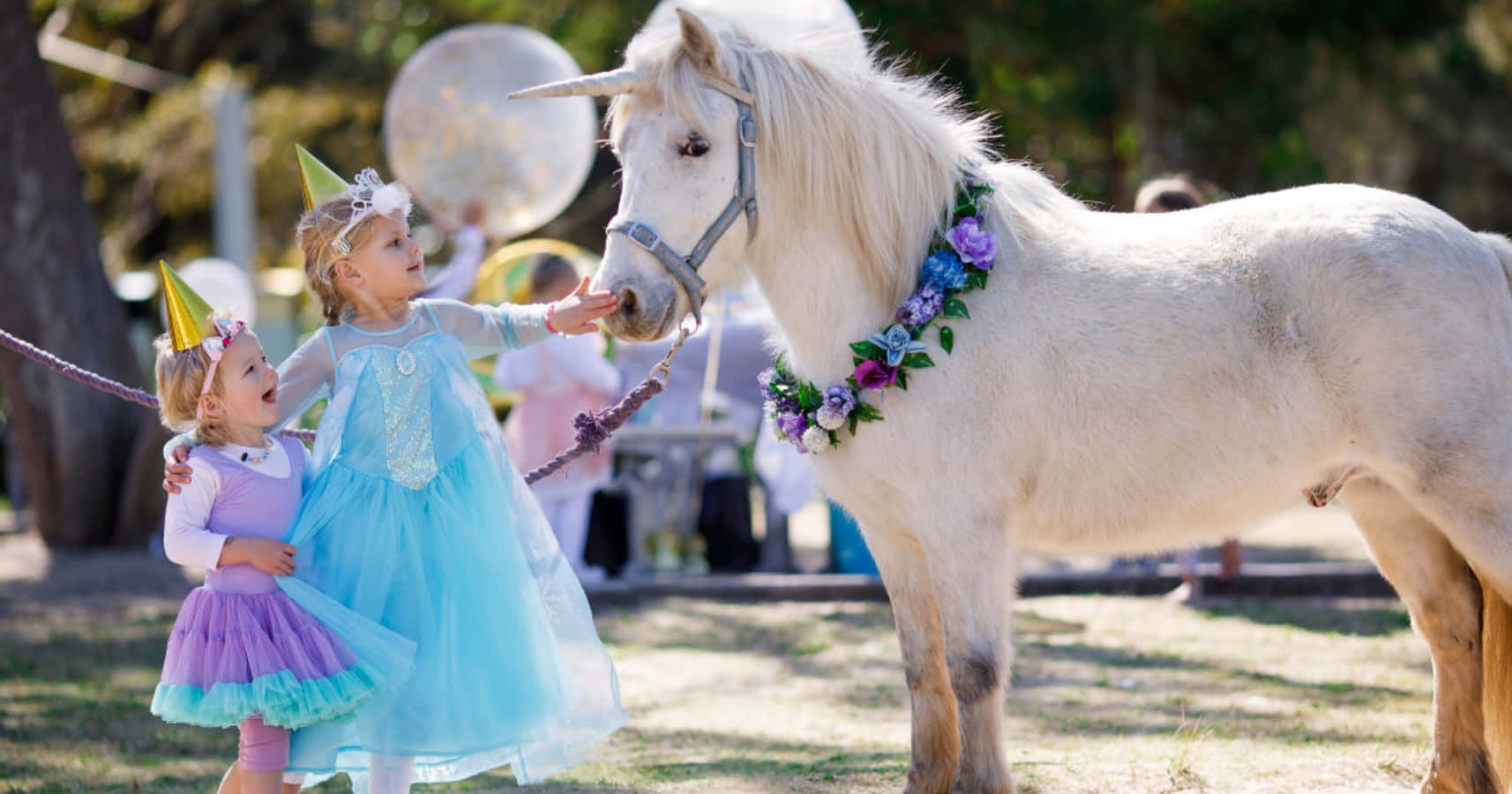 Welcome to the Magical World of Real Unicorns
