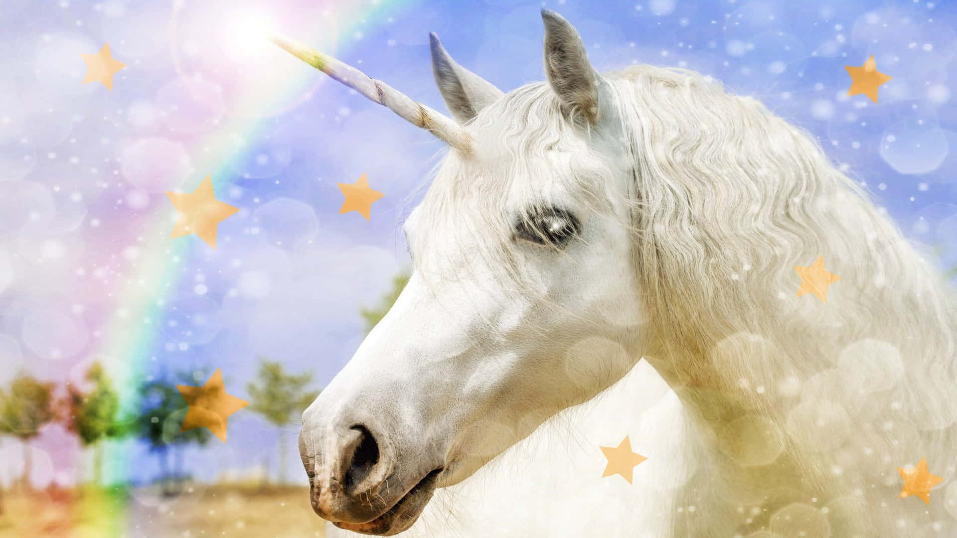 Discover the magical world of Real Unicorns