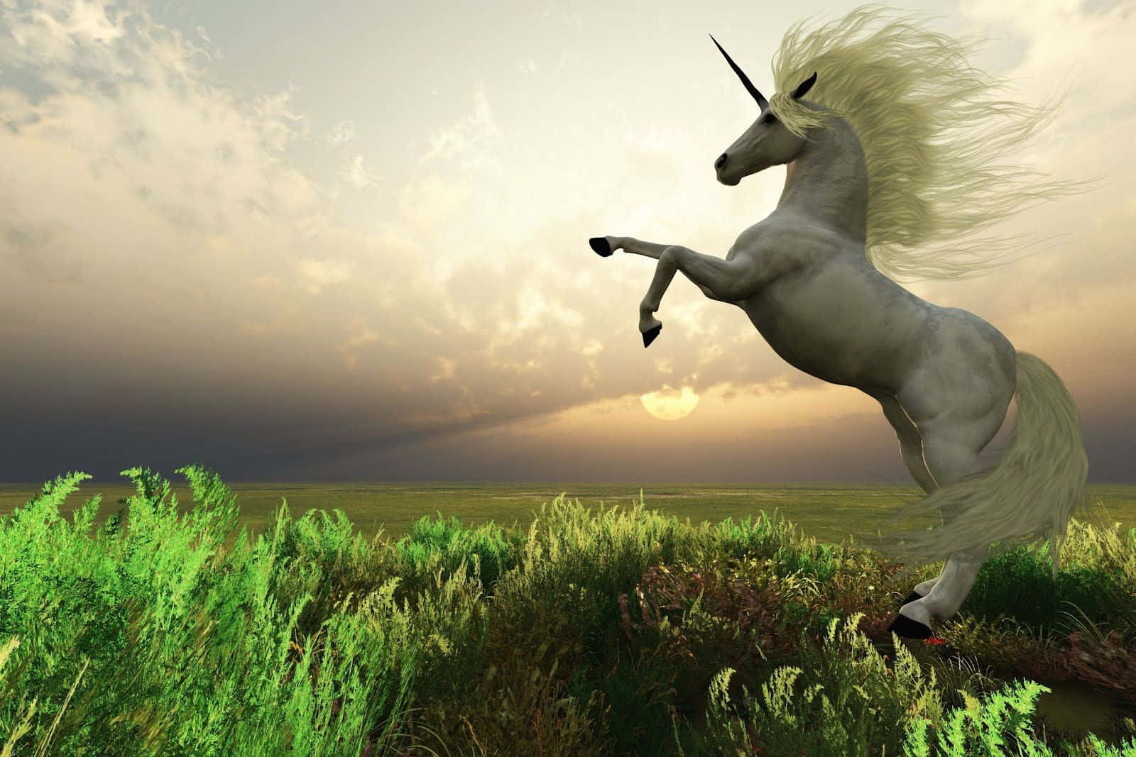 Download A Magical Real-Life Unicorn Wallpaper | Wallpapers.com