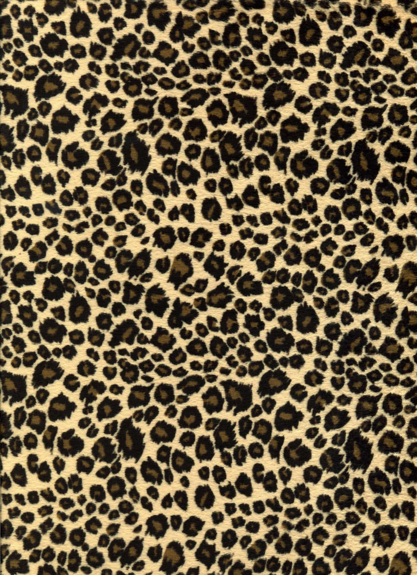 Realistiskestetisk Söt Leopardmönster. Wallpaper