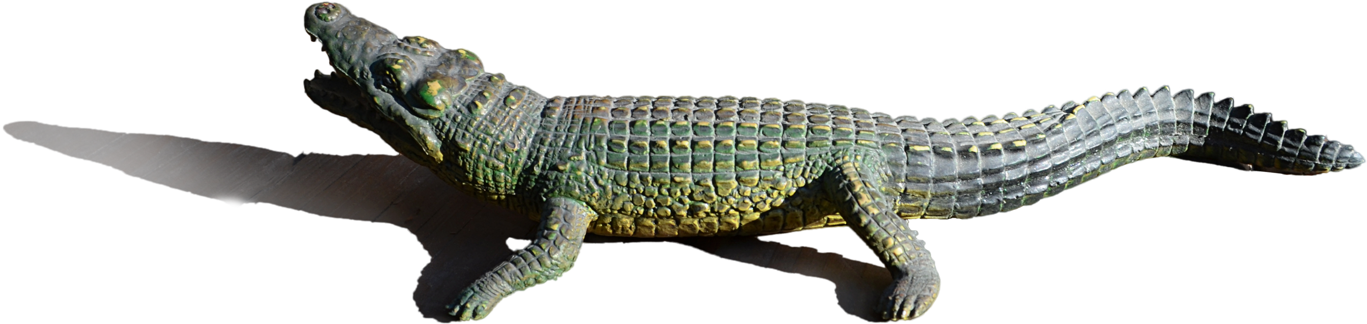 Realistic Alligator Model PNG