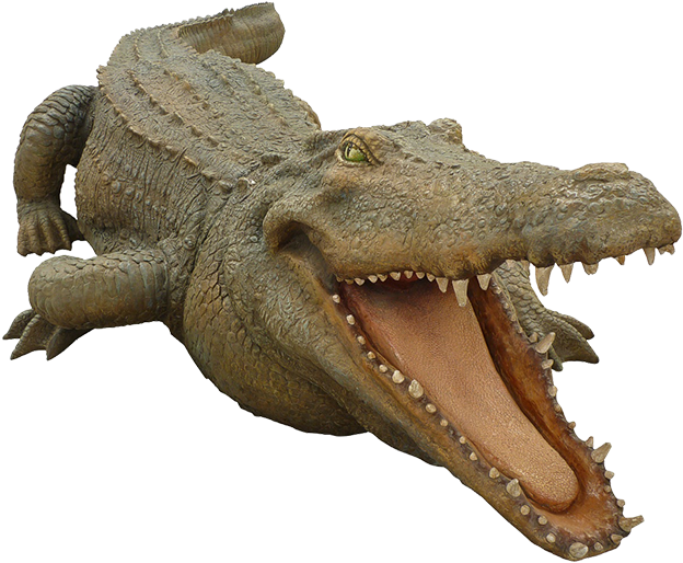 Realistic Alligator Modelwith Open Mouth PNG