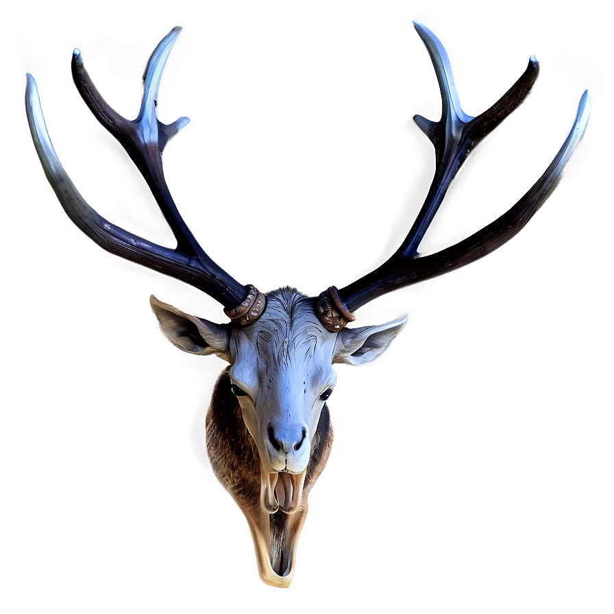 Realistic Antler Graphic Png 06212024 PNG