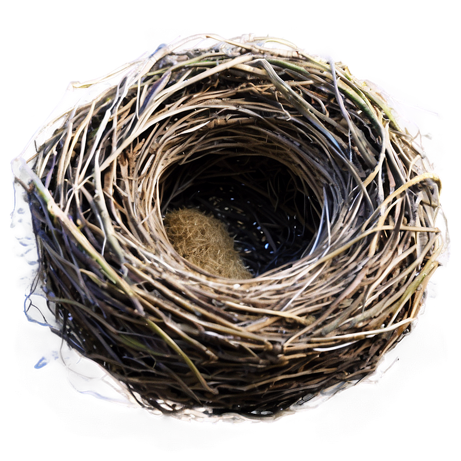 Realistic Bird Nest Png Vlp PNG