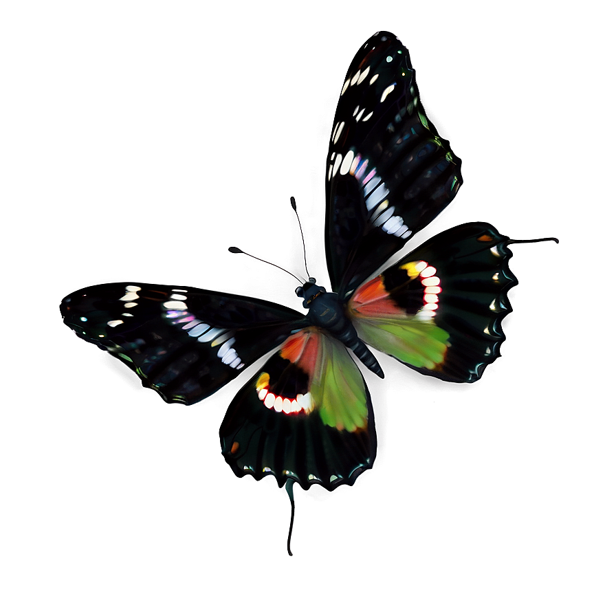 Realistic Black Butterfly Image Png Hgc63 PNG