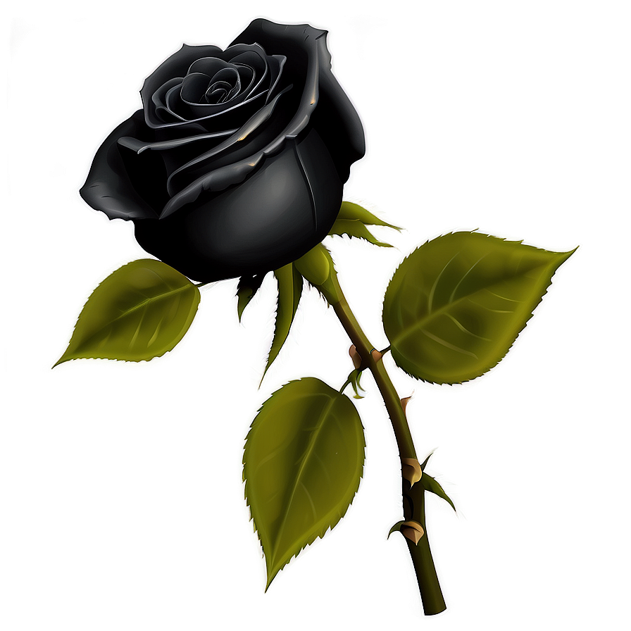 Realistic Black Roses Png Mbn PNG