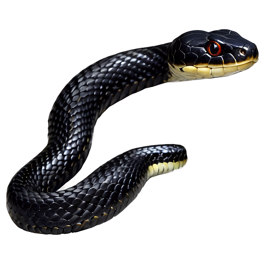 Realistic Black Snake Design Png 06132024 PNG