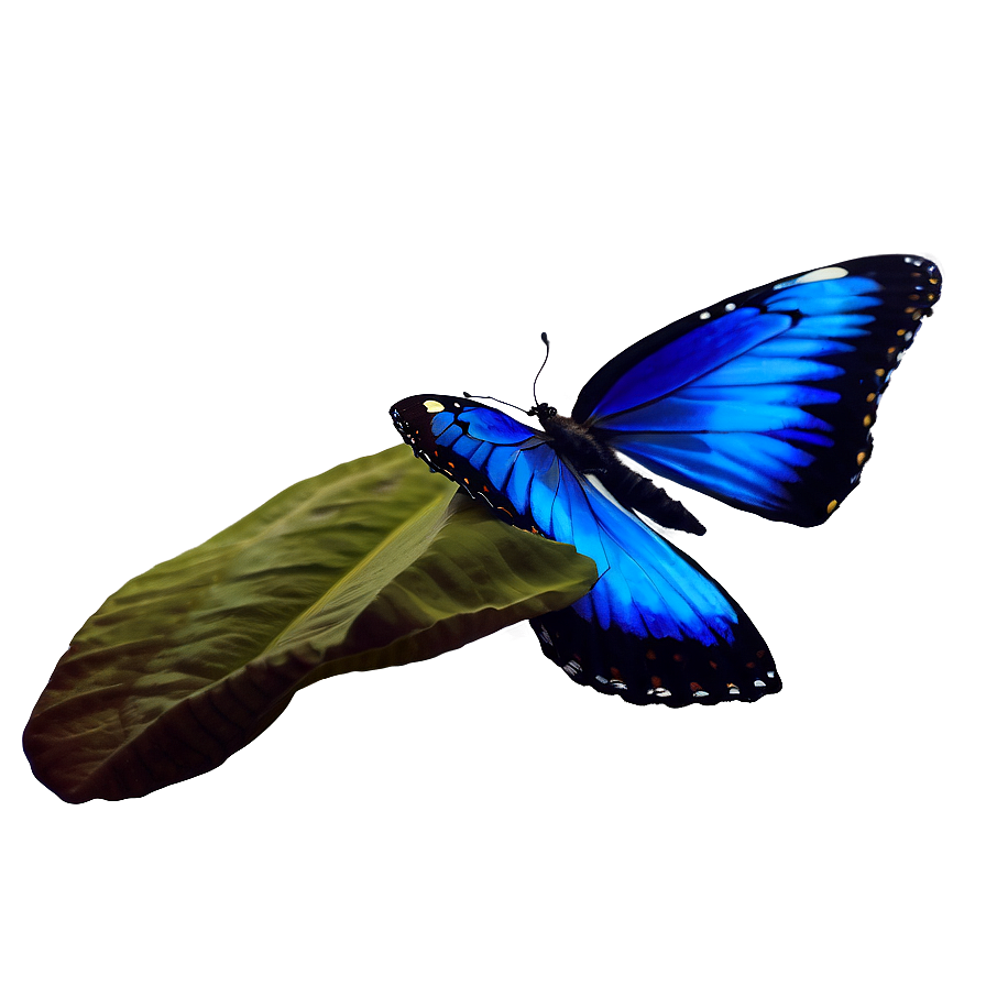 Realistic Blue Butterflies Png Acv62 PNG