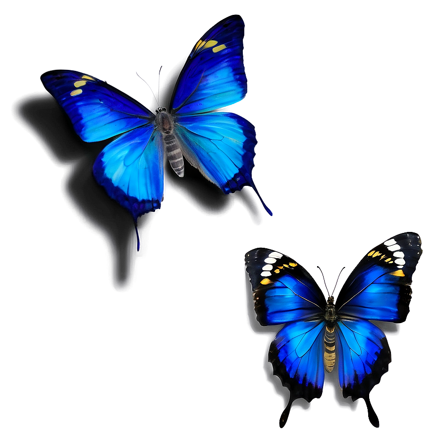 Realistic Blue Butterflies Png Ibm PNG