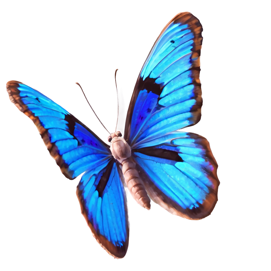 Realistic Blue Butterfly Image Png 31 PNG