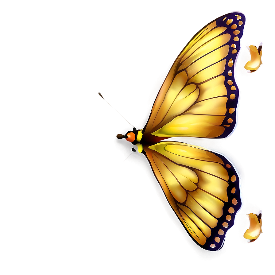 Realistic Butterfly Outline Png 05252024 PNG