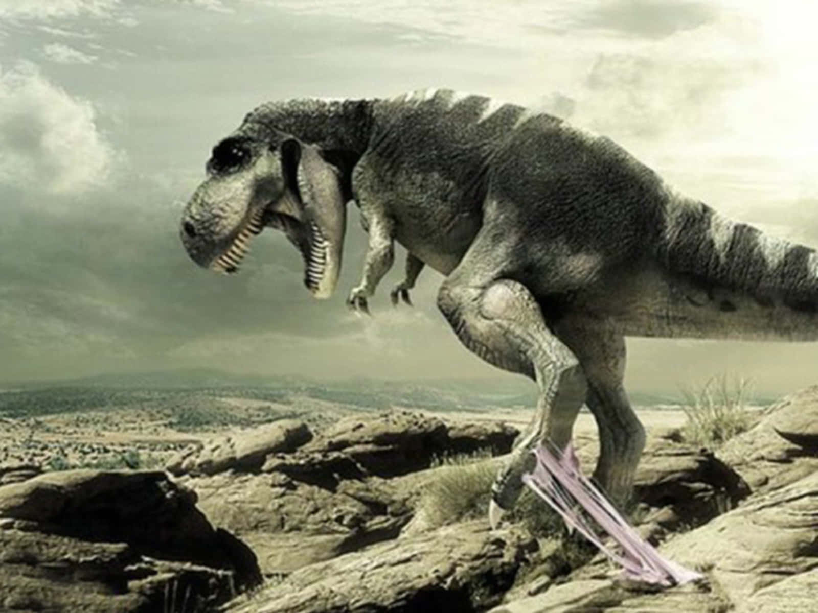 Immagineun Velociraptor Dinosauri Realisticamente Creato Digitalmente Sfondo