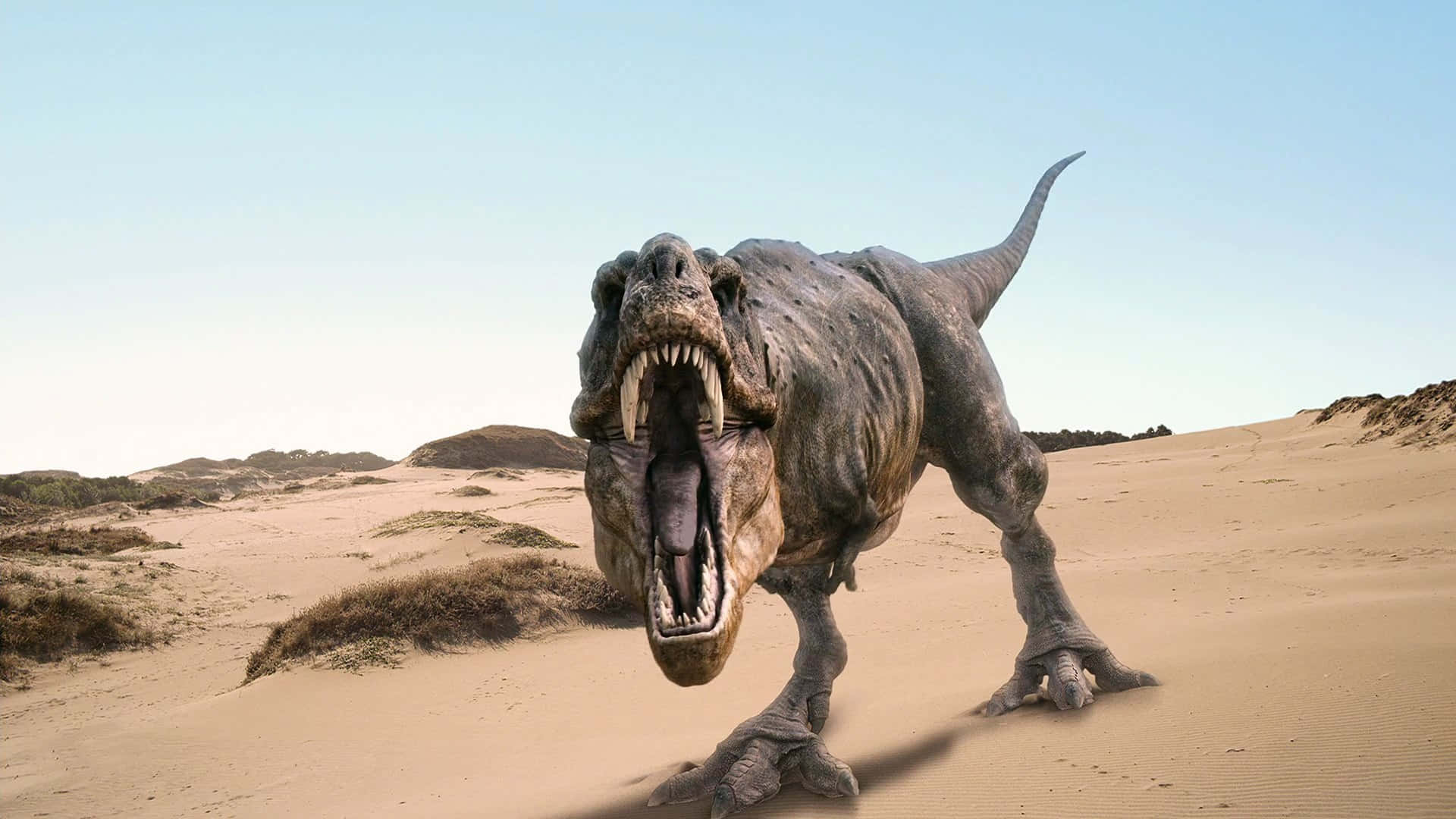 A Dinosaur Is Walking Through The Desert Wallpaper