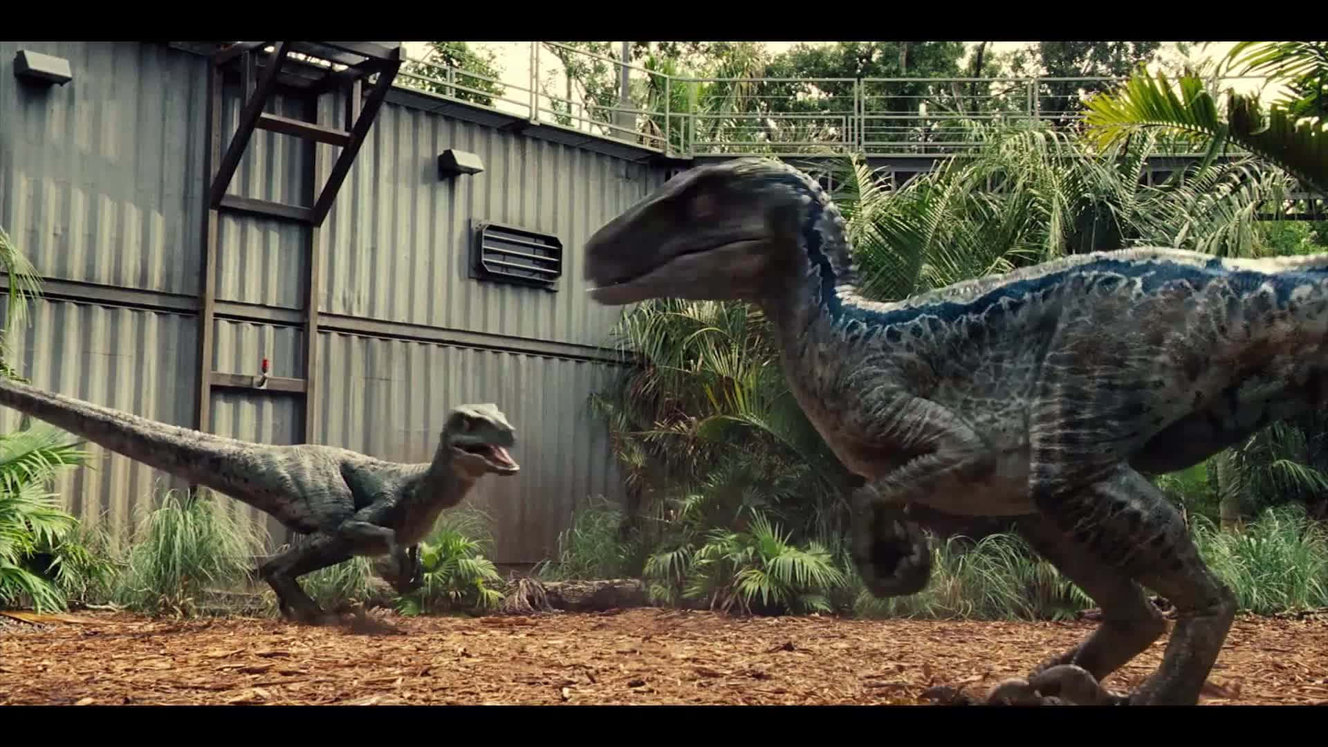 A Realistic Image of a Dinosaur Wallpaper