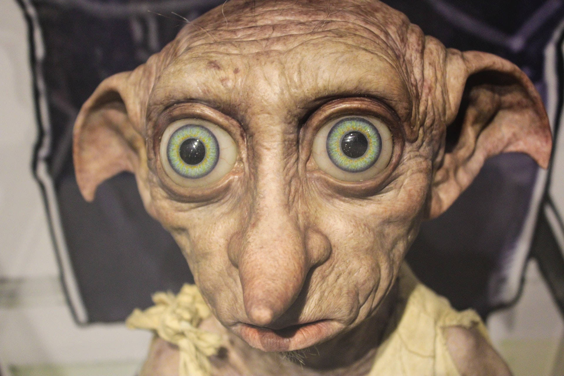 Realistic Dobby Head From Harry Potter Wallpaper