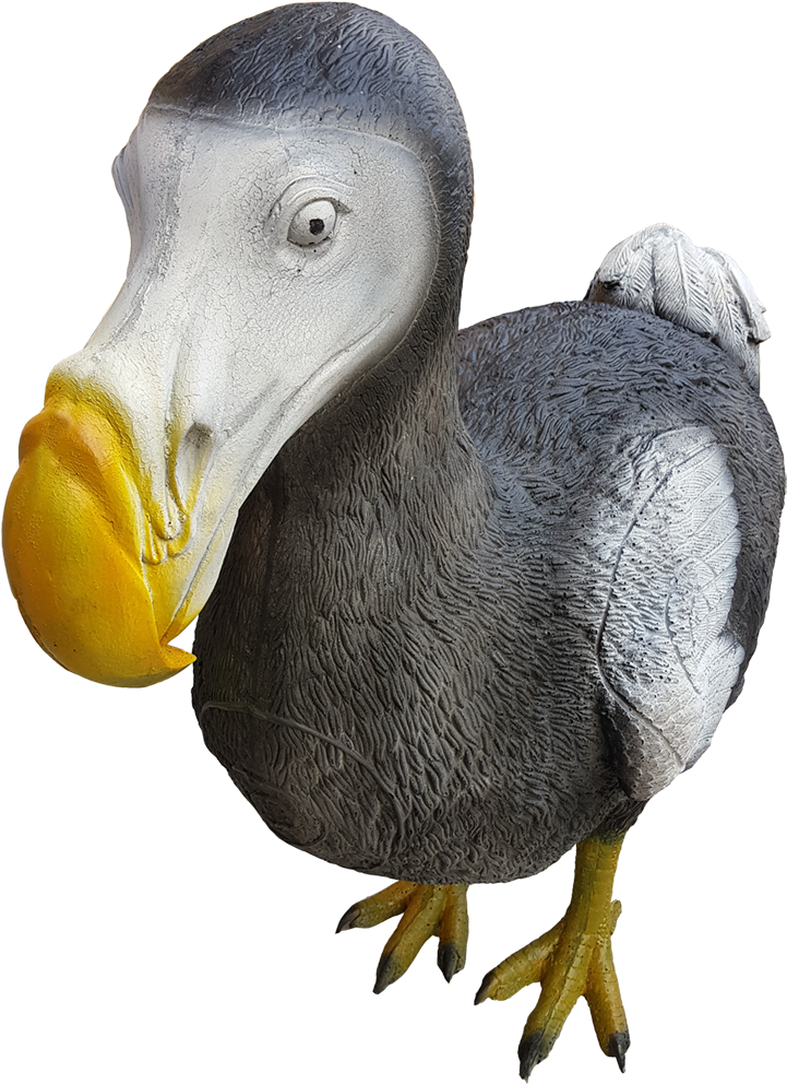 Realistic Dodo Bird Illustration PNG