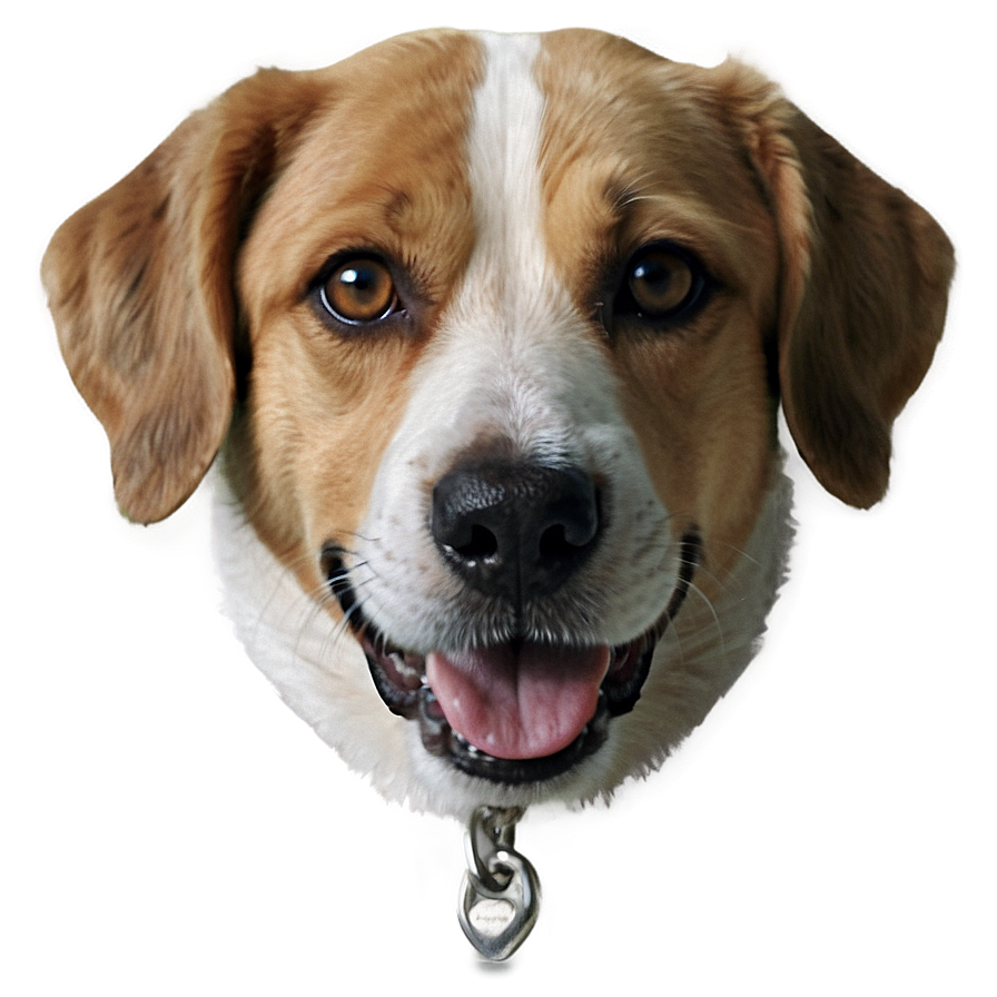 Realistic Dog Transparent Png 44 PNG