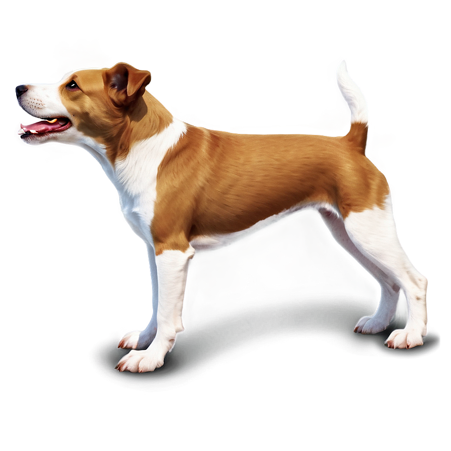 Realistic Dogs Png 05242024 PNG