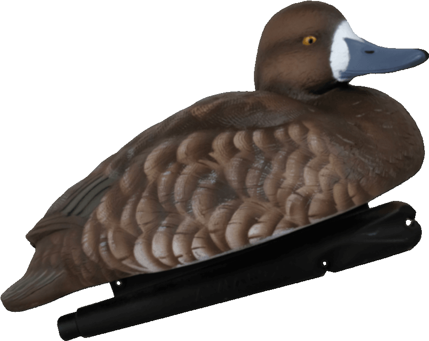 Realistic Duck Decoy Profile PNG