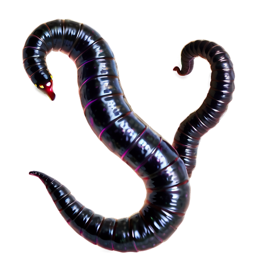 Realistic Earthworm Png 05242024 PNG
