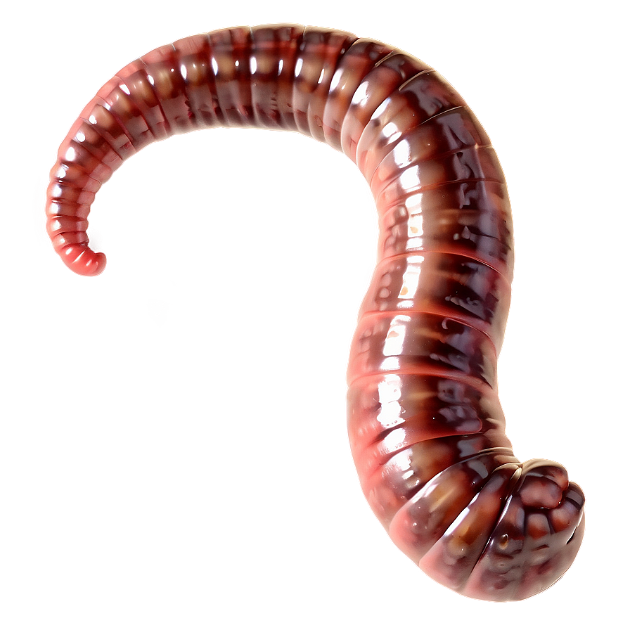 Realistic Earthworm Png Uks PNG