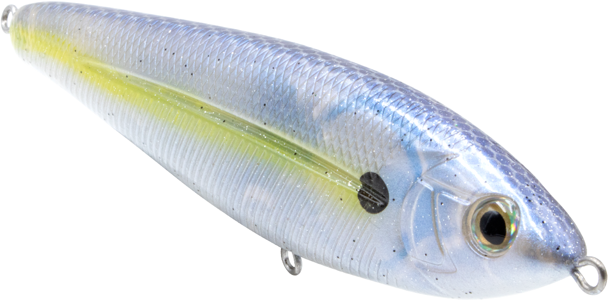 Realistic Fishing Lure Eel Design PNG