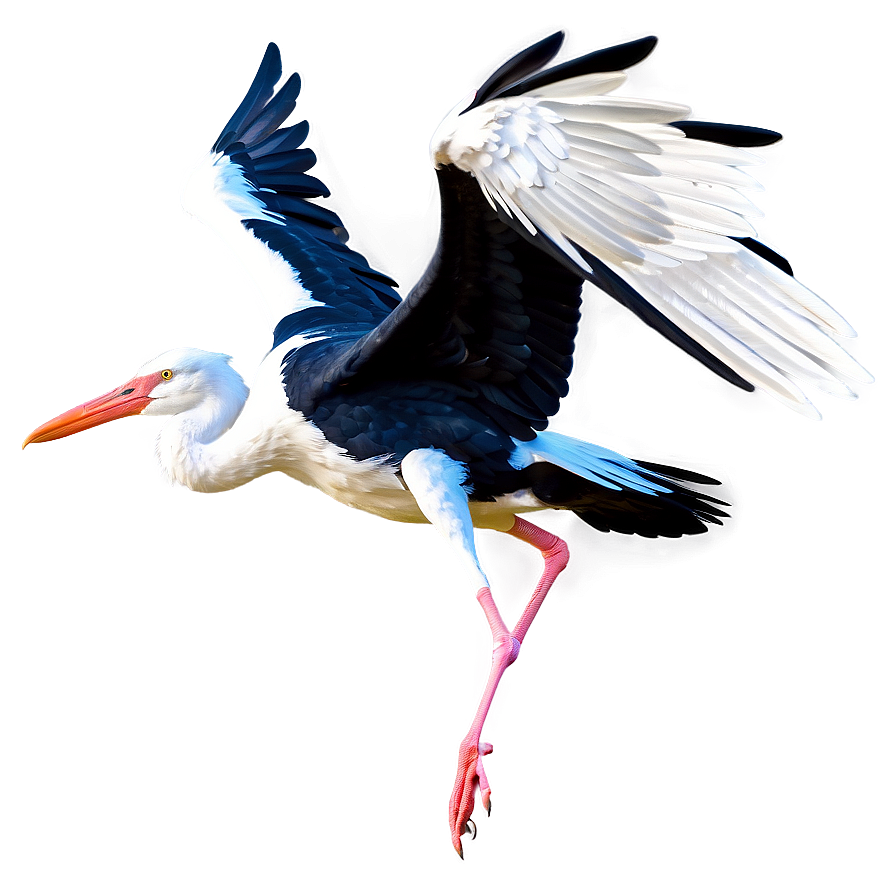 Realistic Flying Stork Png 06122024 PNG