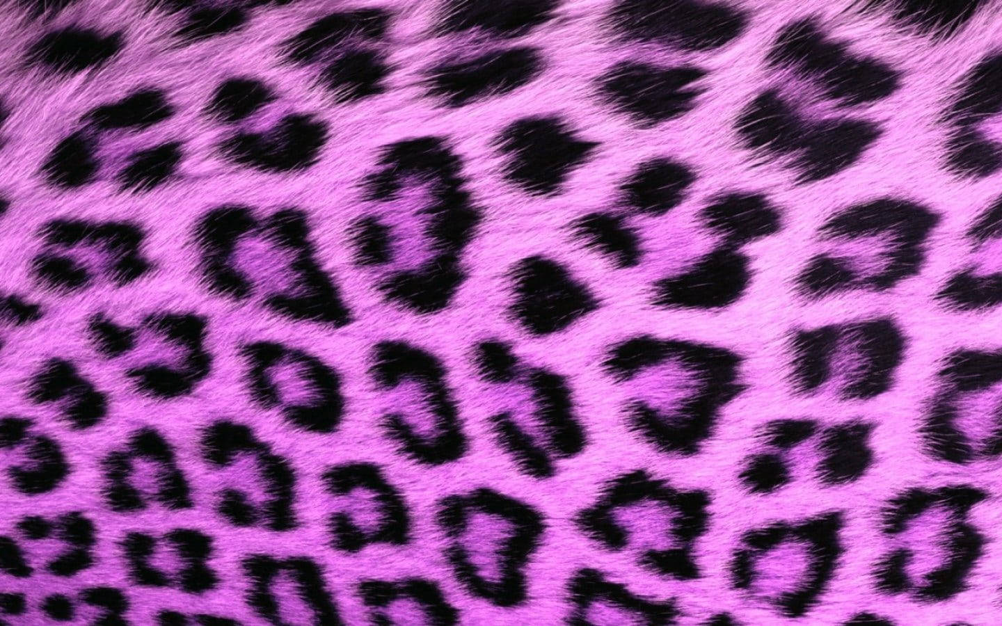 Realistic Furry Cute Leopard Print Wallpaper