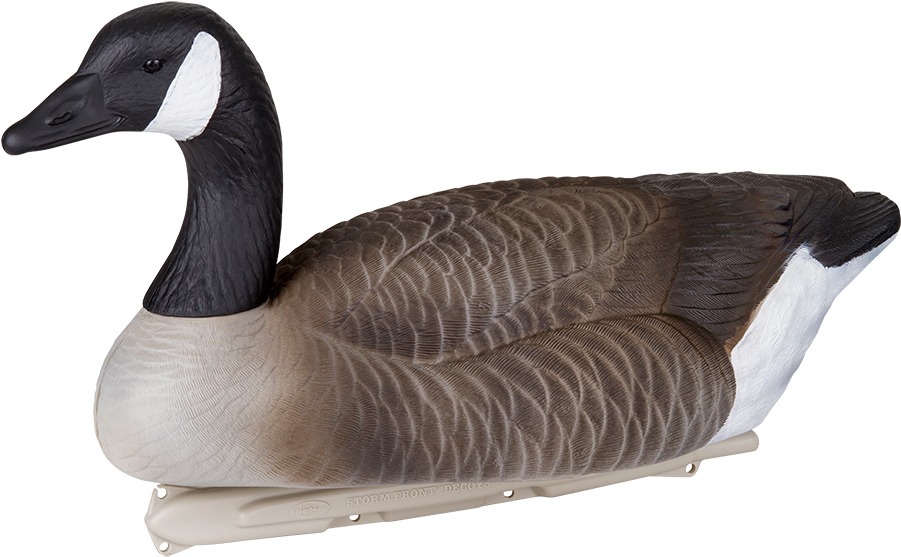 Realistic Goose Decoy Profile PNG