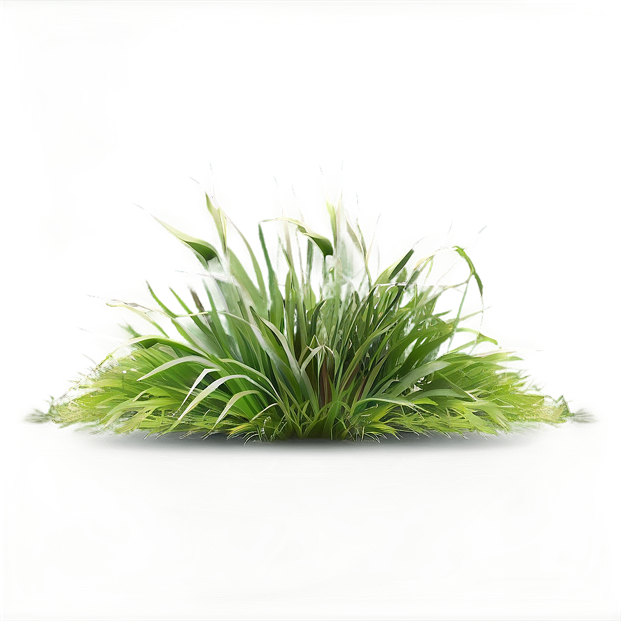 Realistic Grass Border Png 84 PNG