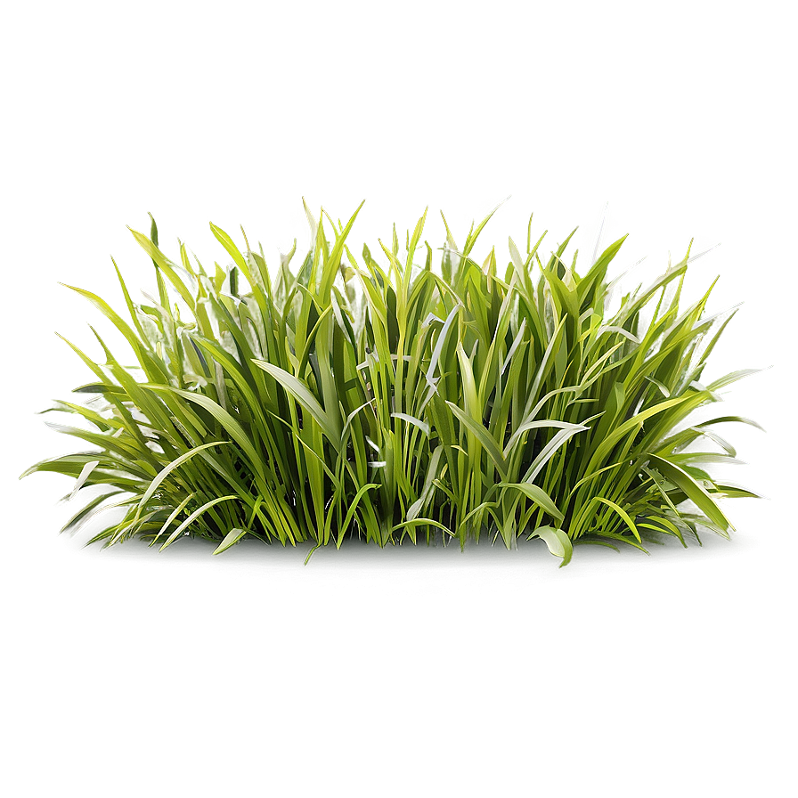 Realistic Grass Clipart Png 24 PNG