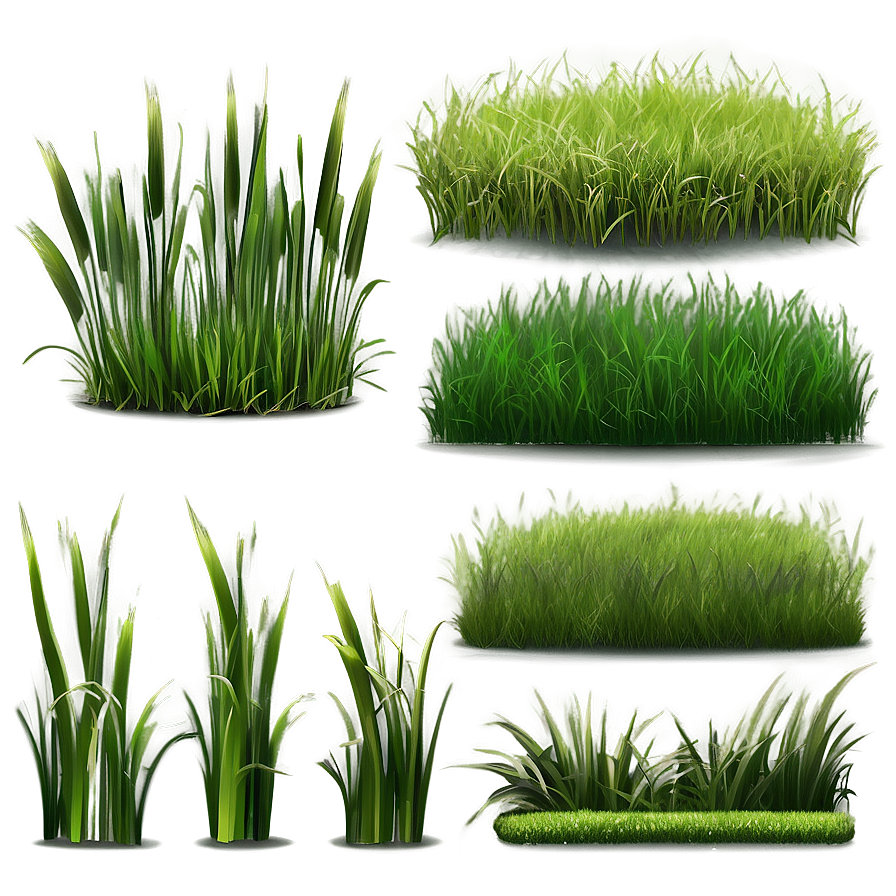 Realistic Grass Clipart Png Adh PNG