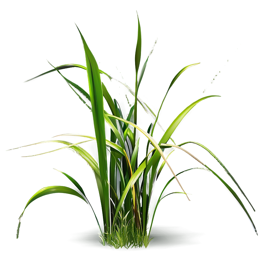 Realistic Grass Clipart Png Oov PNG