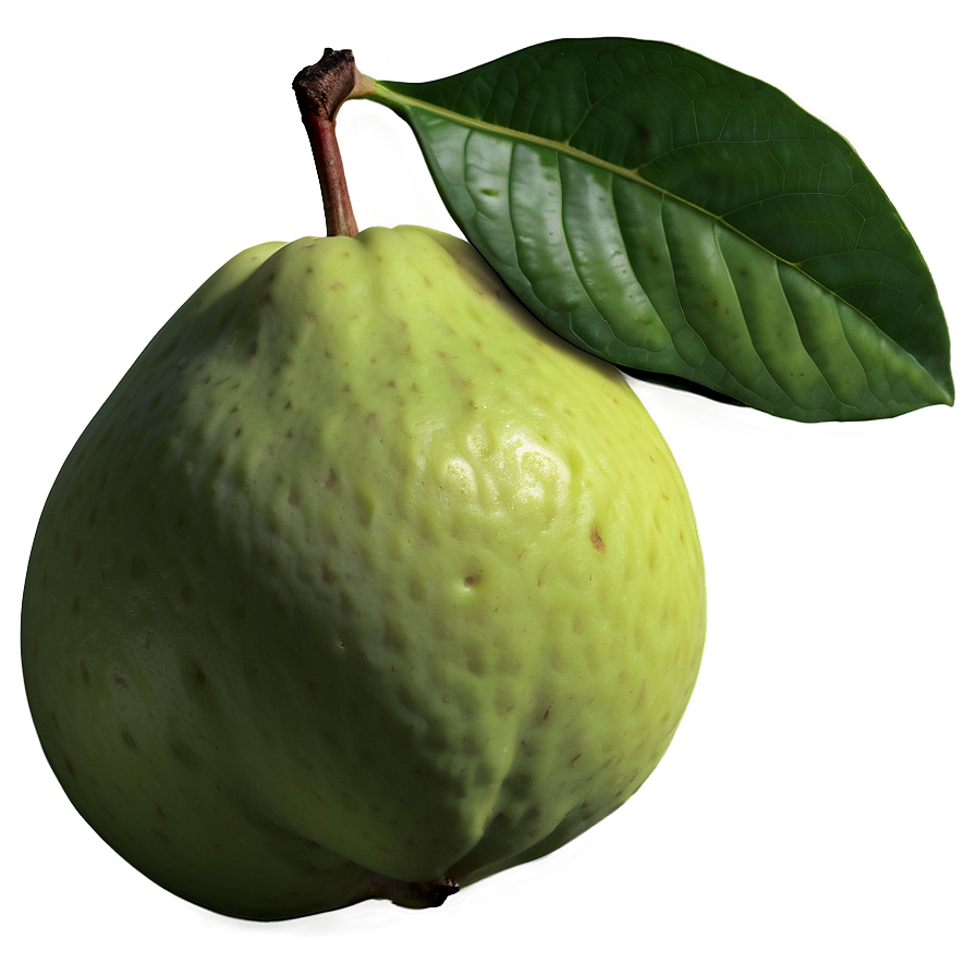 Realistic Guava Png Bqy74 PNG
