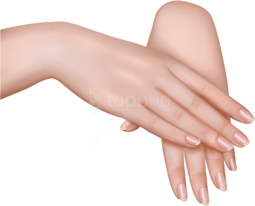 Realistic Hand Clipart PNG