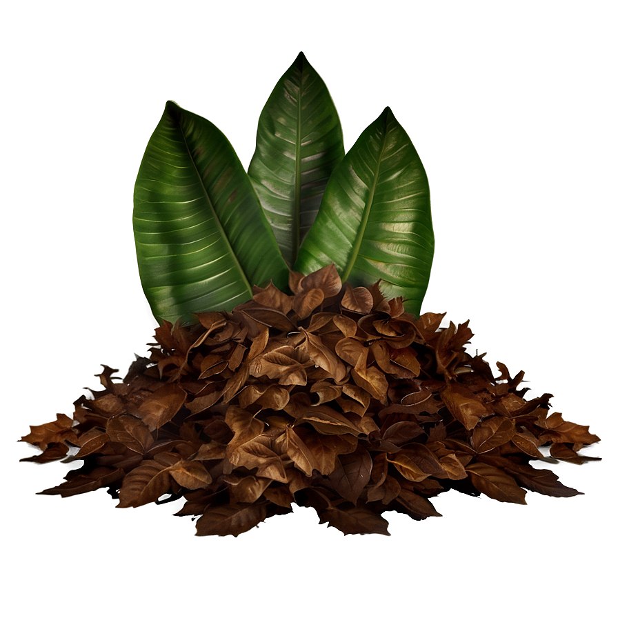 Realistic Leaf Pile Png Llv84 PNG