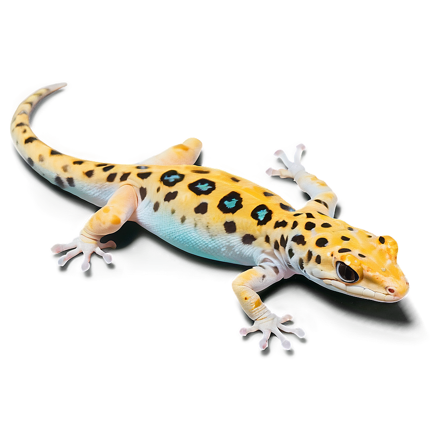 Realistic Leopard Gecko Png Cda PNG