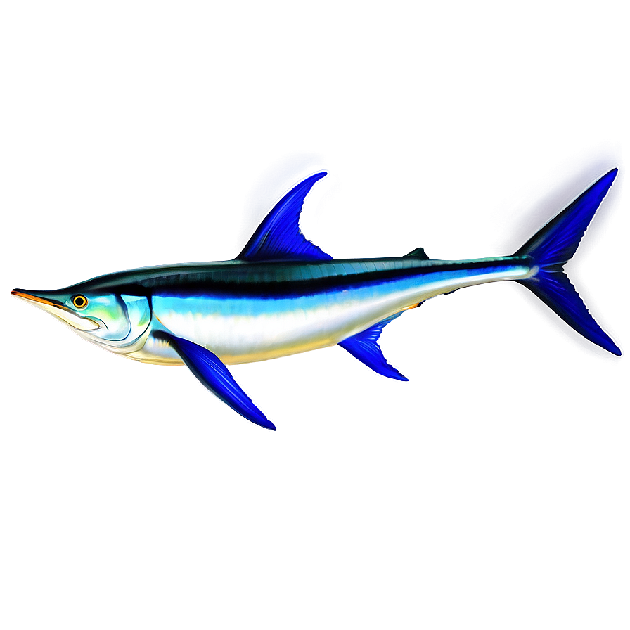 Download Realistic Marlin Drawing Png Uap71 | Wallpapers.com