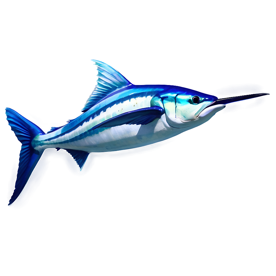 Realistic Marlin Drawing Png Vsa27 PNG