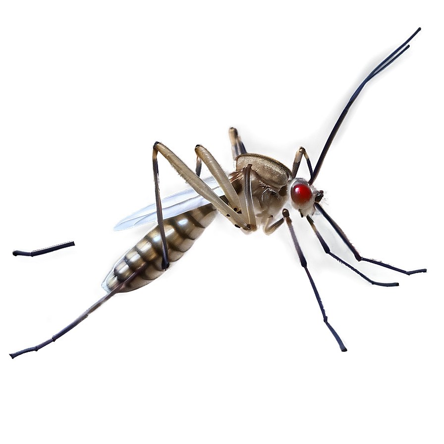 Realistic Mosquito Png Tif29 PNG