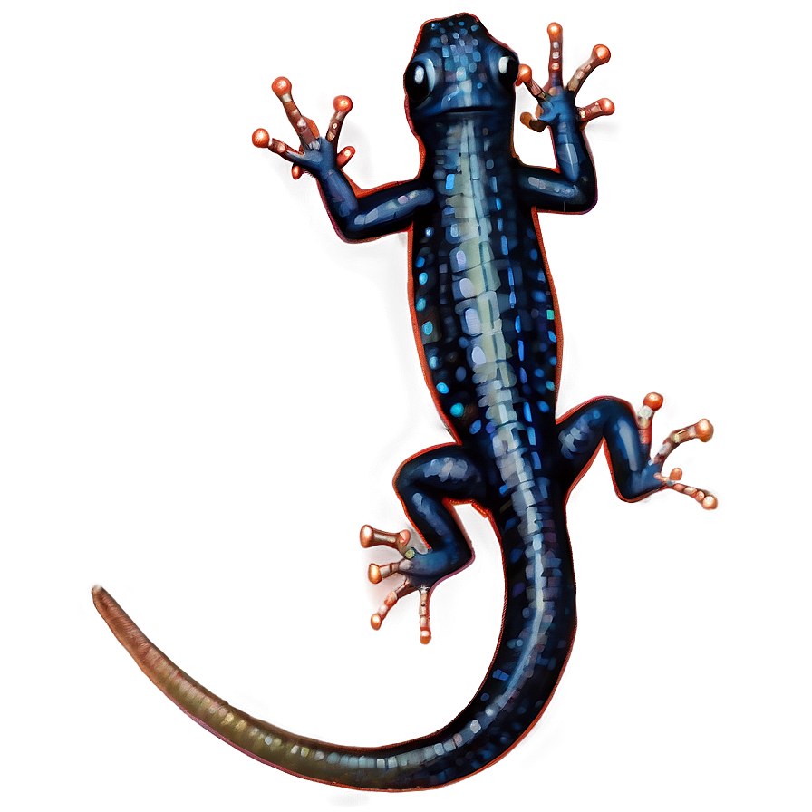 Realistic Newt Drawing Png Dge20 PNG