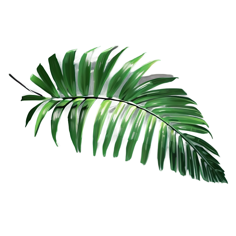 Realistic Palm Leaf Graphic Png Rnc PNG