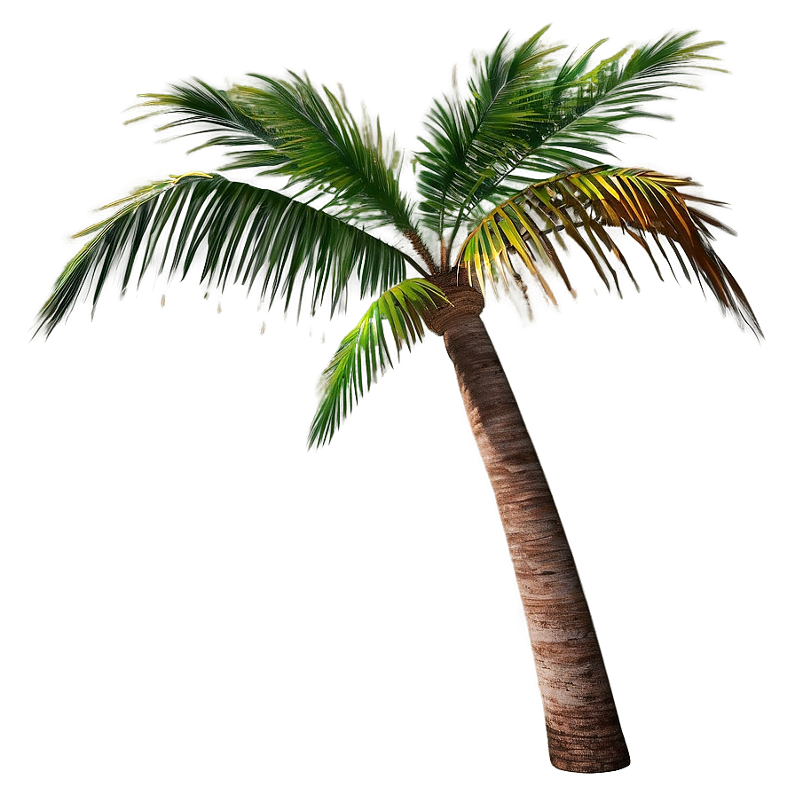 Download Realistic Palm Tree Png Xsn92 | Wallpapers.com