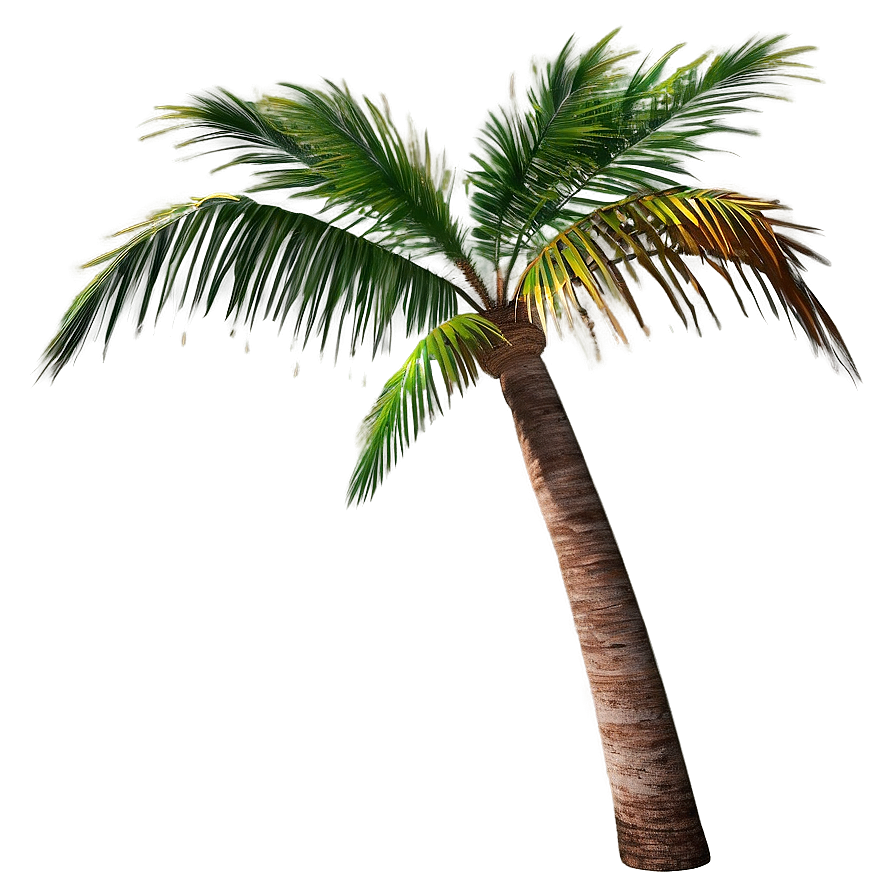 Realistic Palm Tree Png Xsn92 PNG