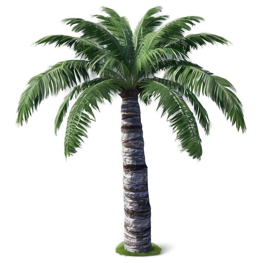 Realistic Palm Trees Png 85 PNG