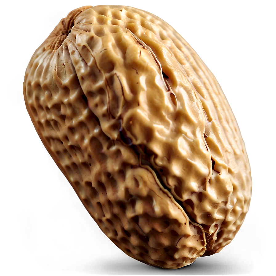 Realistic Peanut Image Png 05252024 PNG